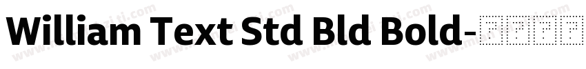 William Text Std Bld Bold字体转换